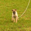 Alte Bilder