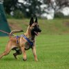 Training September 2016